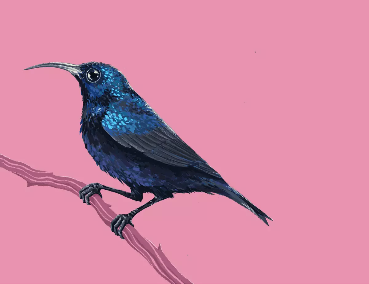 creative gallery image