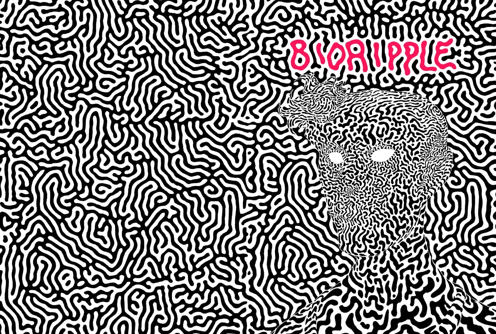 creative gallery image