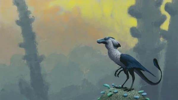 creative gallery image