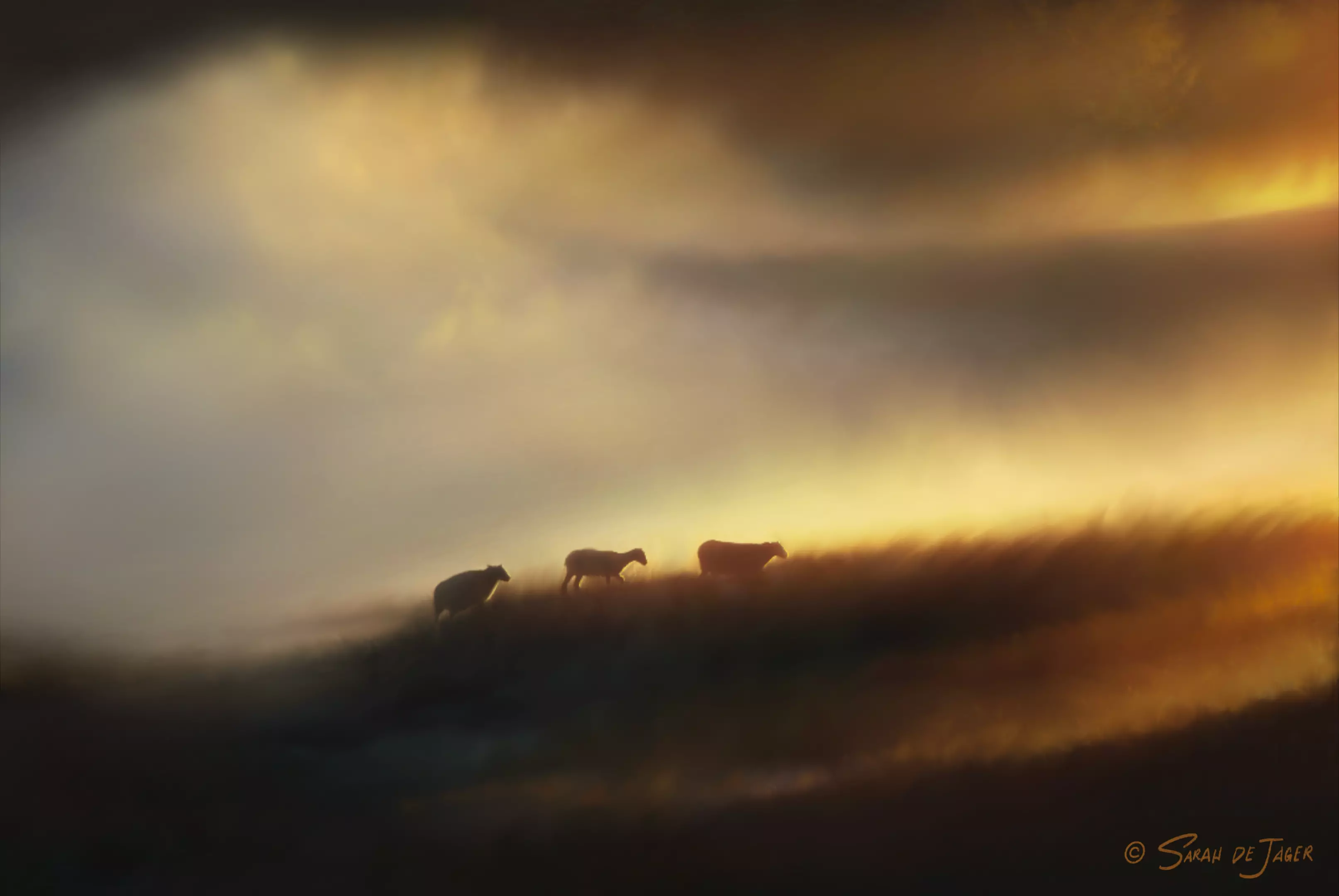 creative gallery image