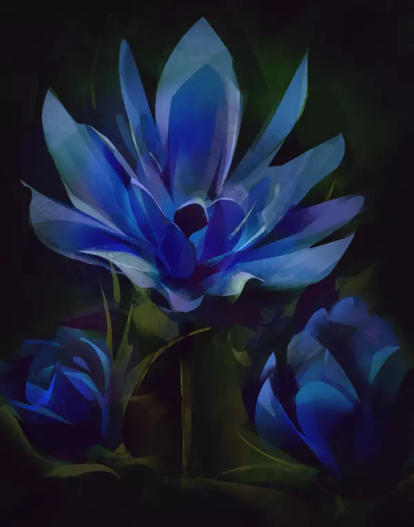 creative gallery image