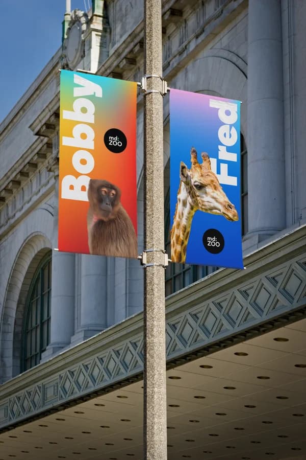 creative gallery image