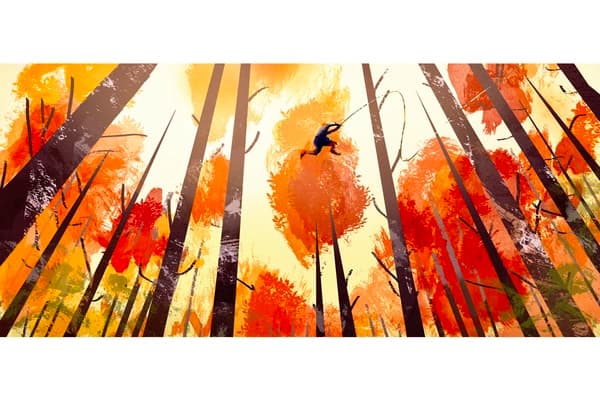creative gallery image