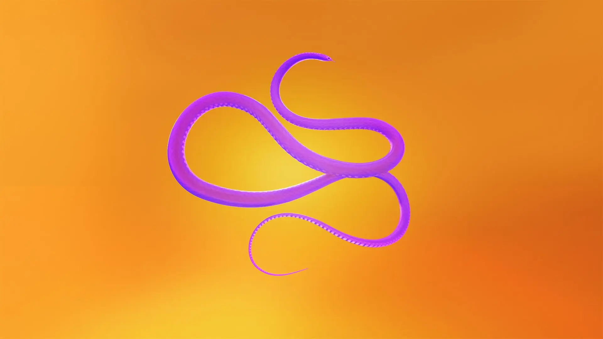creative gallery image