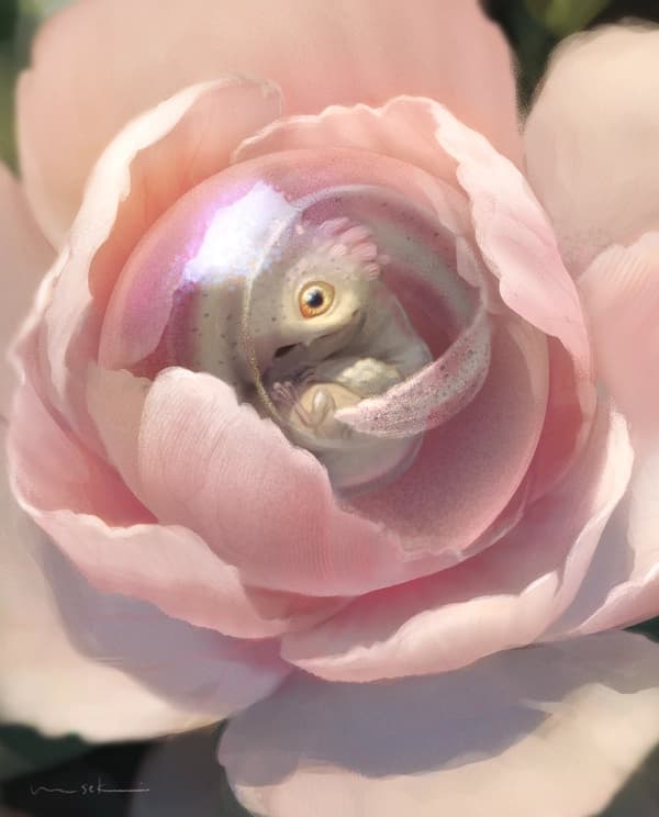 creative gallery image