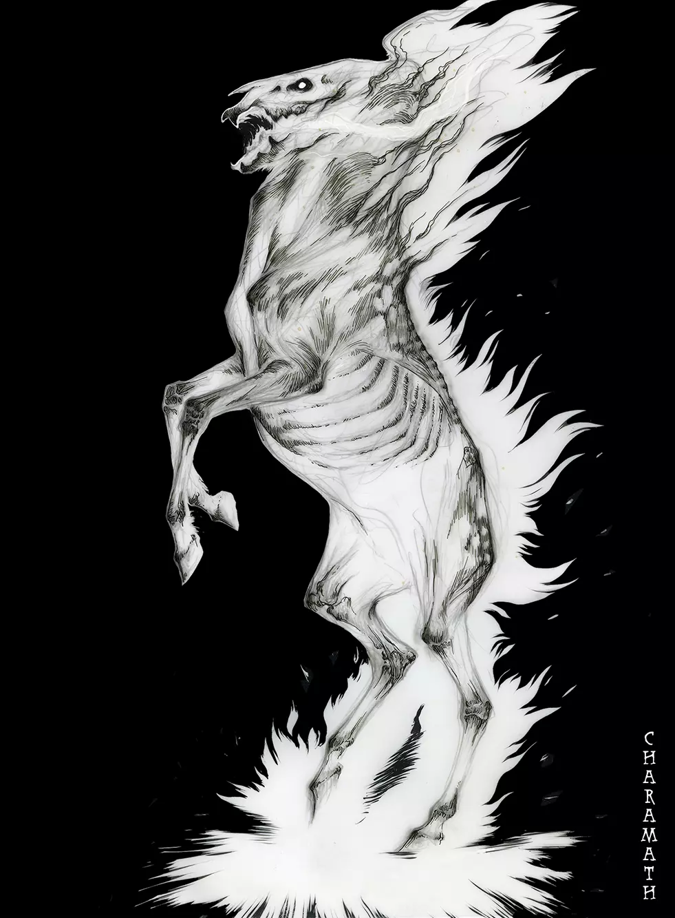 creative gallery image